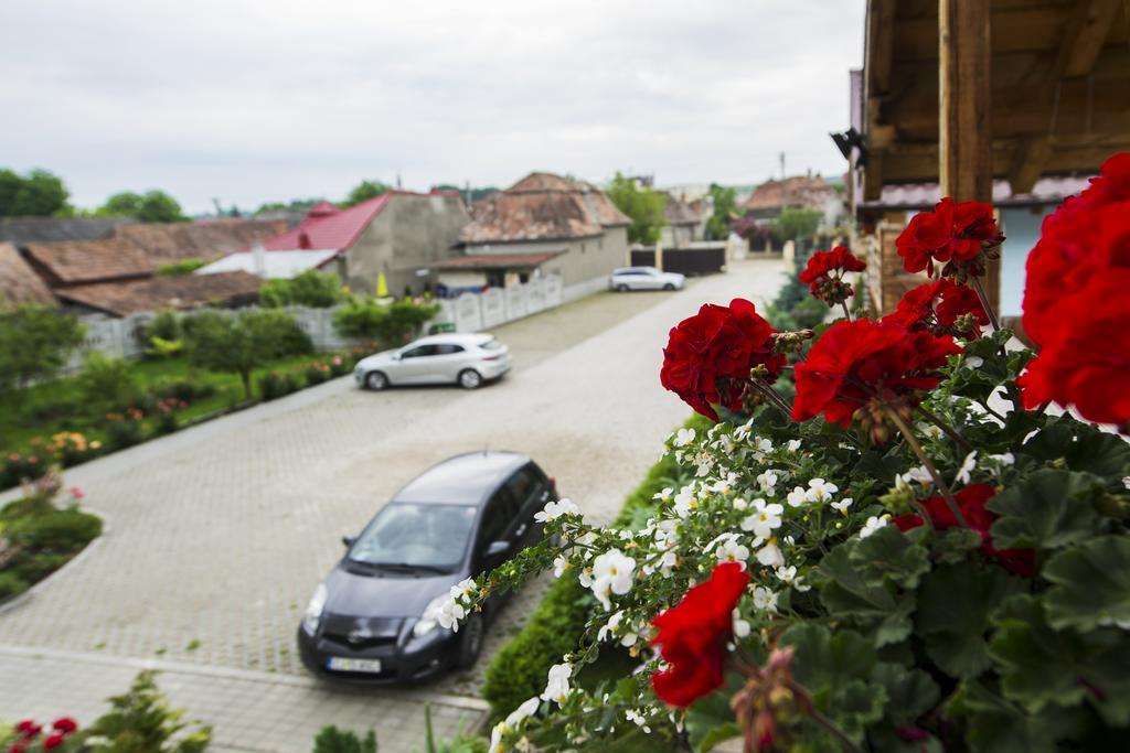 Pensiunea Daiana Residence Turda Bagian luar foto