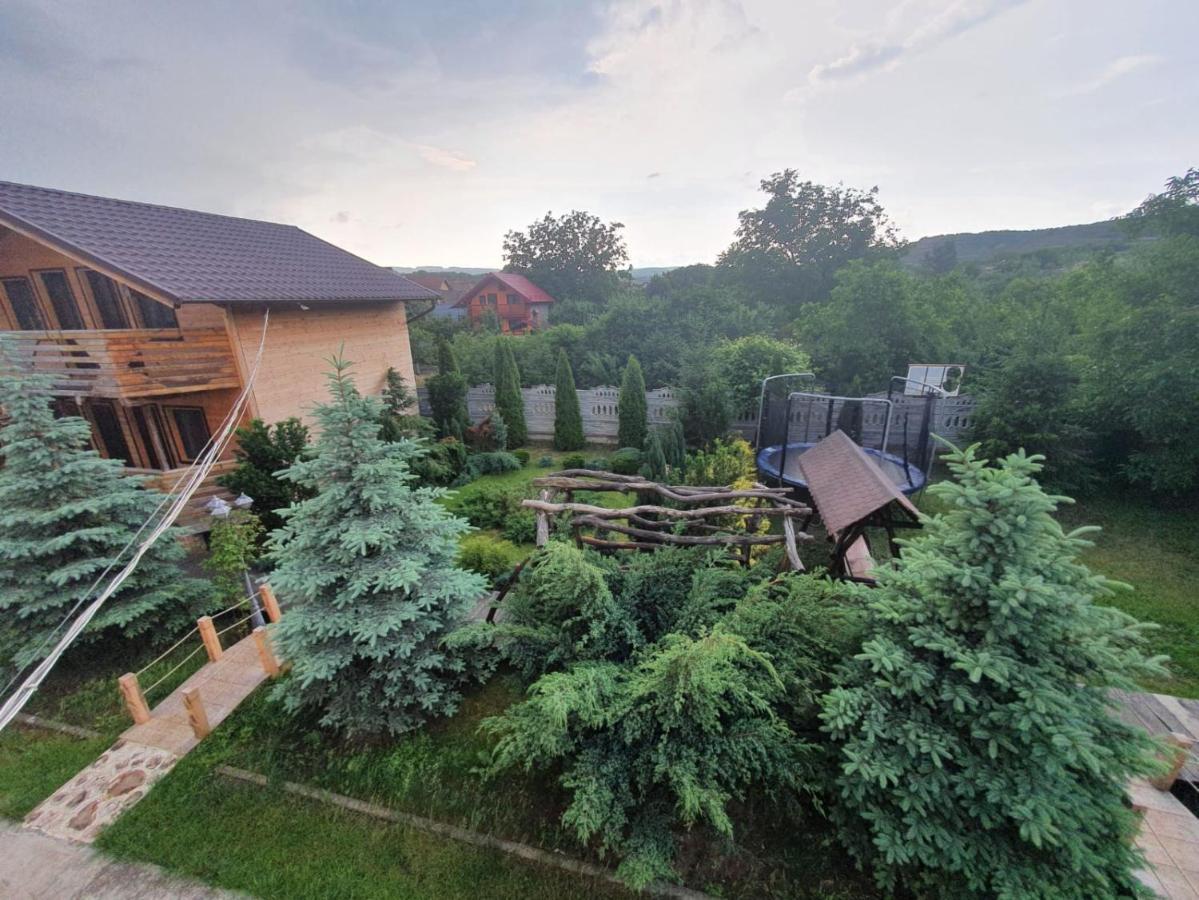 Pensiunea Daiana Residence Turda Bagian luar foto